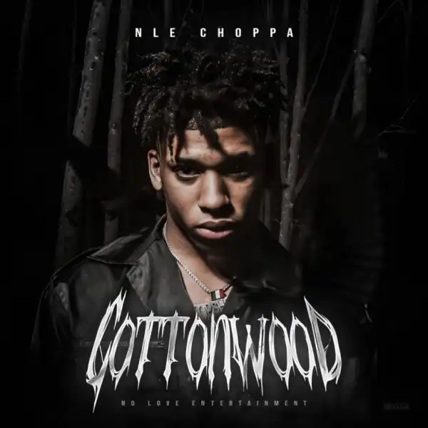 NLE Choppa - N.w.a.